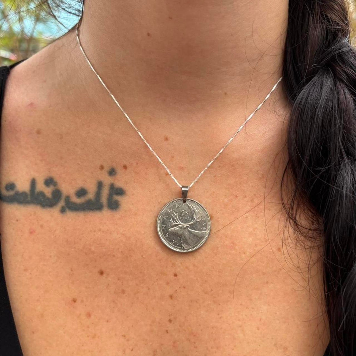Canada coin moose coin coin